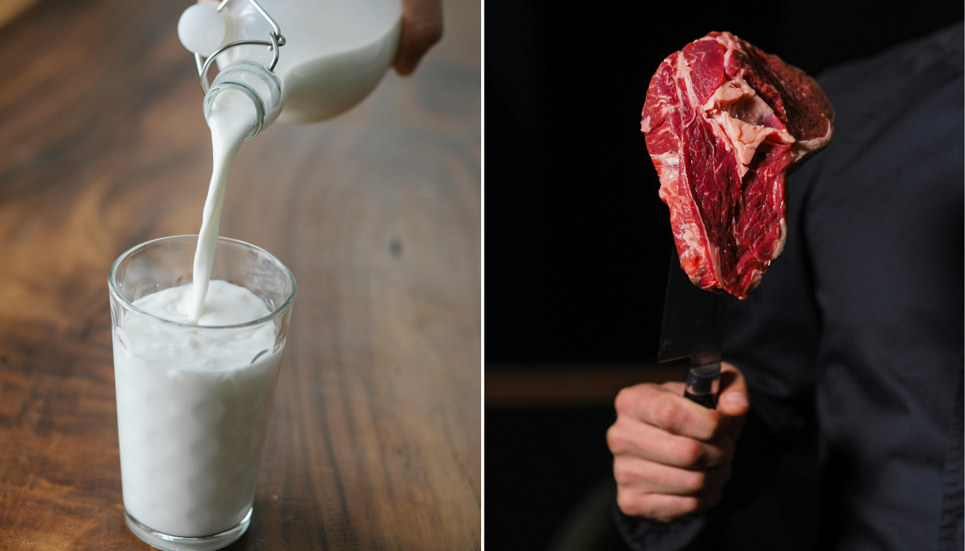 Carne e frango de molho no leite? Marinada inusitada tem efeito incrível no alimento