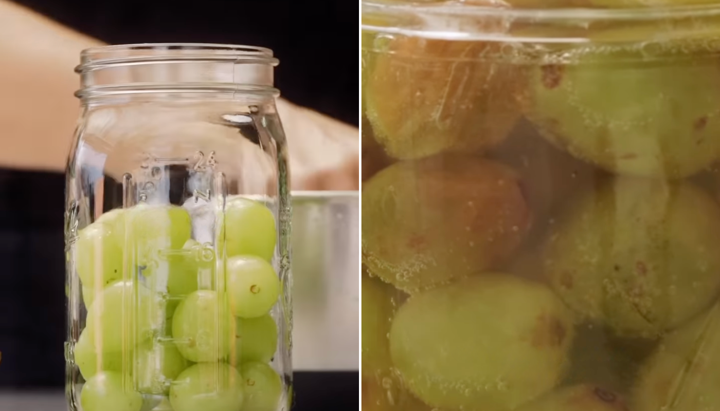 (Crédito: Reprodução/Instagram @cebolanamanteiga)