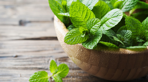 Smoothie docinho de chocolate com menta é zero lactose e contém muitas vitaminas
