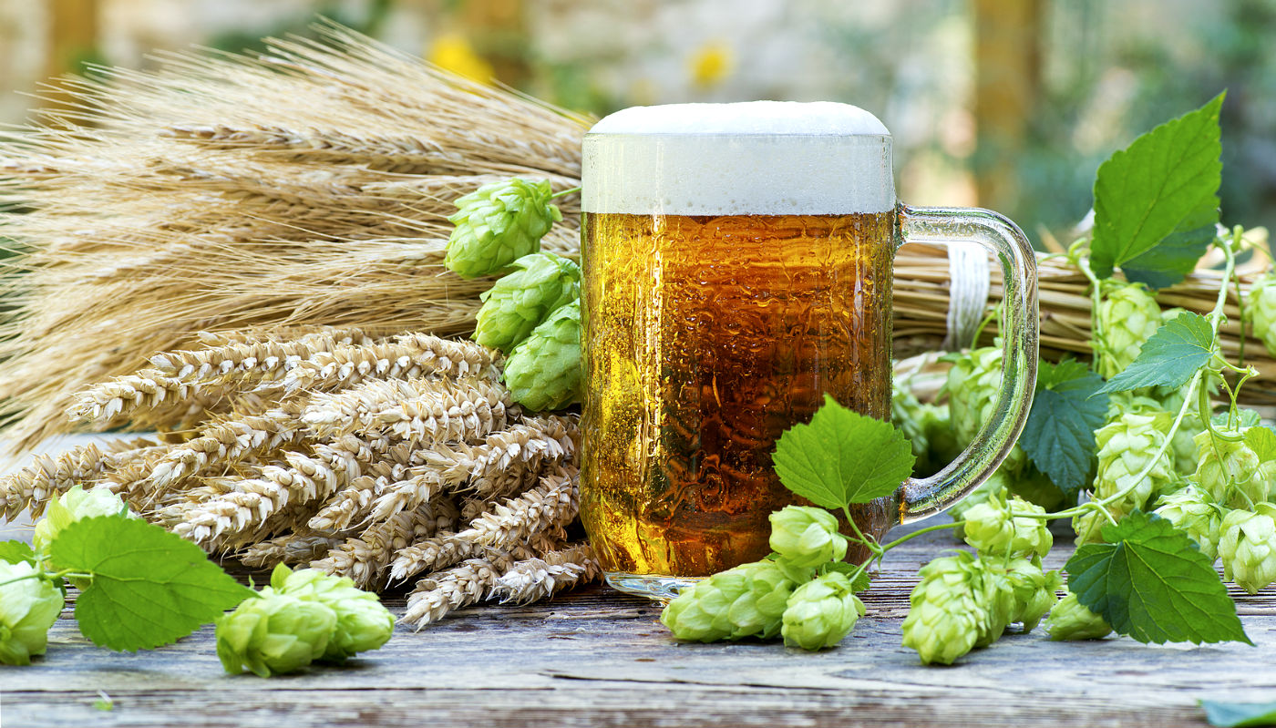 Acha que cerveja é tudo igual? Conheça 4 tipos + aperitivos e pratos para combinar